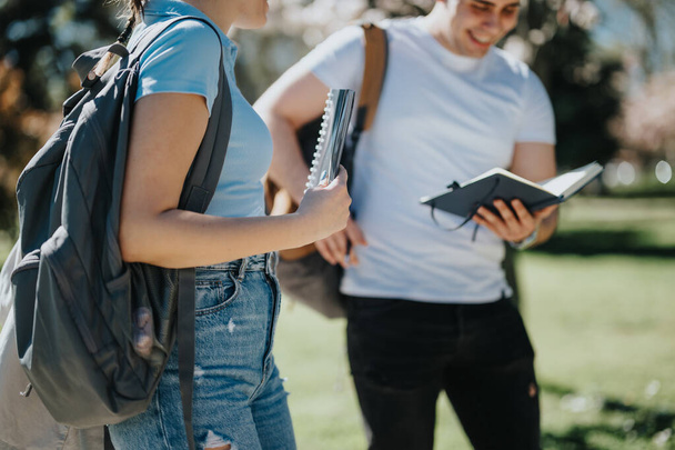 Két hátizsákos fiatal diák együtt tanul egy napfényes parkban az óráik után, ötleteket és jegyzeteket osztanak meg egymással.. - Fotó, kép