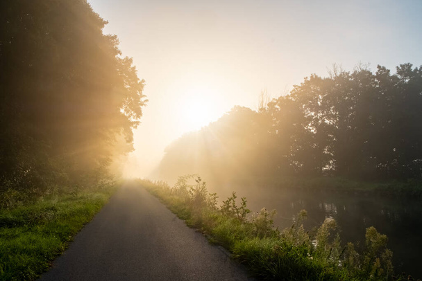 The image portrays a secluded pathway alongside a river, with a radiant sunburst piercing through the morning mist, casting a diffused light across the scene. The path leads toward the luminous - Photo, Image