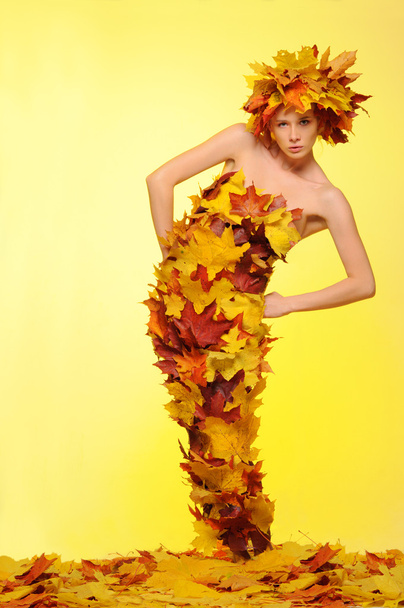 Woman in gown of autumn leaves - Foto, Imagen