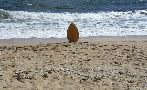 Surffilauta hiekassa
 - Valokuva, kuva