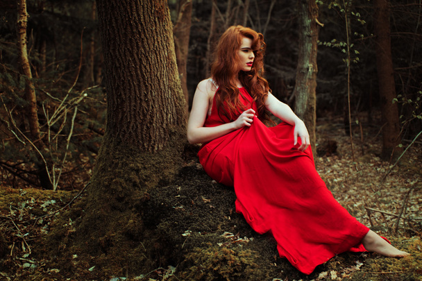 стильна жінка в червоній сукні
 - Фото, зображення