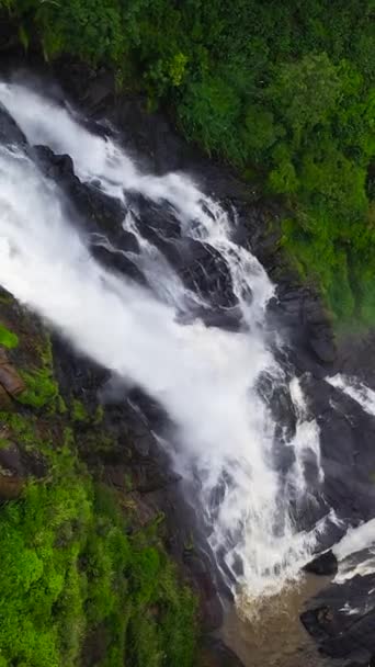 Водопад в тропическом лесу. Вид с воздуха на Девон Фоллс. Шри-Ланка. Вертикальное видео. - Кадры, видео