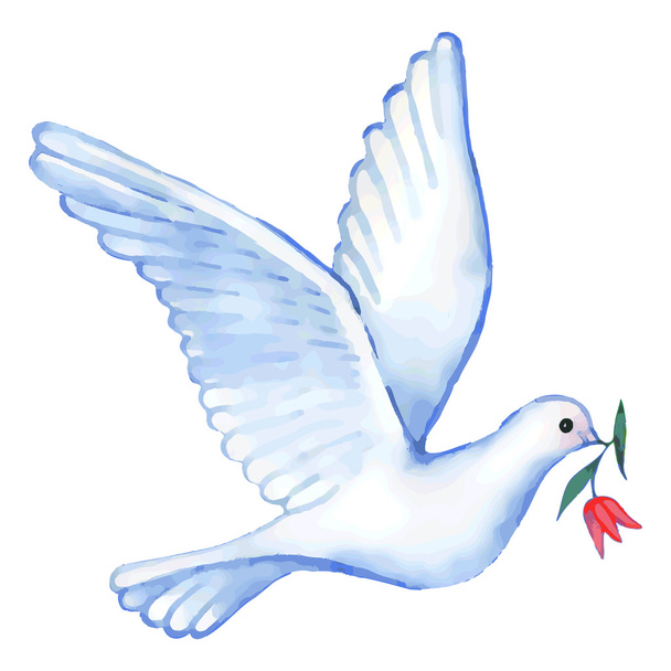 Watercolor soaring dove, vector illustration - Vektor, Bild
