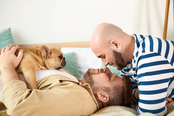 Zwei Männer und ein Hund lagen friedlich zusammen auf einem Bett. - Foto, Bild