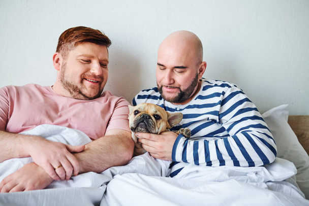 ベッドの上に小さな犬を抱えている2人の男性. - 写真・画像