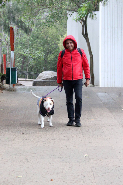 40 'lı yaşlarda boşanmış, koyu tenli bir Latin, duygusal destek köpeğiyle parkta yağmurda yürümeye hazırlanıyor. - Fotoğraf, Görsel