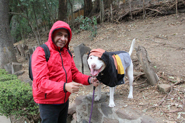 40 'lı yaşlarda boşanmış, koyu tenli bir Latin, duygusal destek köpeğiyle parkta yağmurda yürümeye hazırlanıyor. - Fotoğraf, Görsel