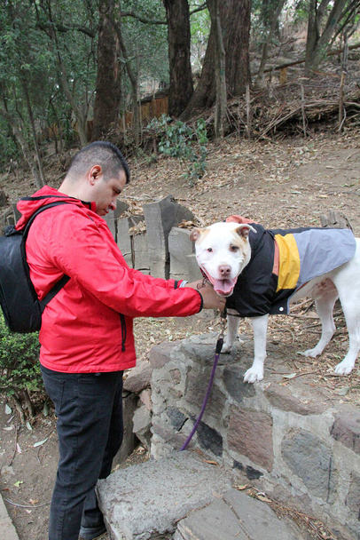 Rozvedený svobodný muž po čtyřicítce s tmavou pletí se připravuje na procházku v dešti v parku se svým emocionálním doprovodným psem - Fotografie, Obrázek