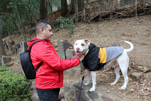 Χωρισμένος εργένης στα 40 του, σκουρόχρωμος Λατίνος ετοιμάζεται να περπατήσει στη βροχή στο πάρκο με το σκύλο του για συναισθηματική υποστήριξη. - Φωτογραφία, εικόνα