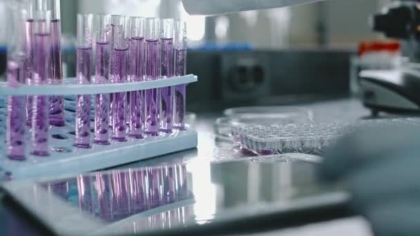 Close-up rack focus beelden van de hand van onherkenbare chemicus in blauwe handschoen nemen roze stof uit reageerbuizen met pipet en laten vallen in monsterschaal, en tablet computer op tafel - Video