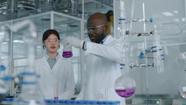 Waist-up shot of Black male, Chinese female colleagues standing at worktop in chemical laboratory, next to retorts on stands, looking at flask with purple liquid compound, admiring colour, consistency - Footage, Video