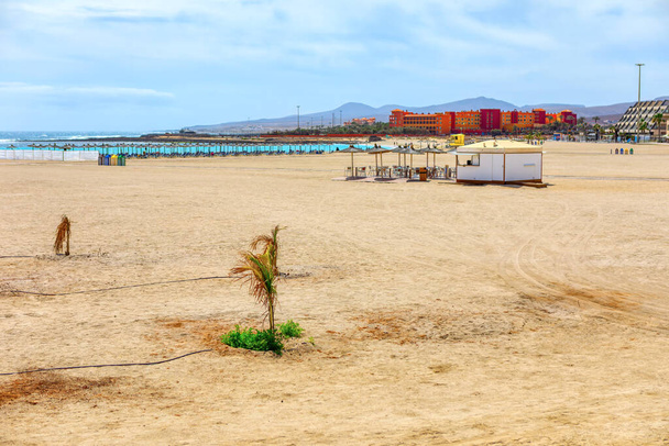 Playa del Castillo in Fuerteventura, Canary Islands. Большой песчаный тропический пляж на побережье океана   - Фото, изображение