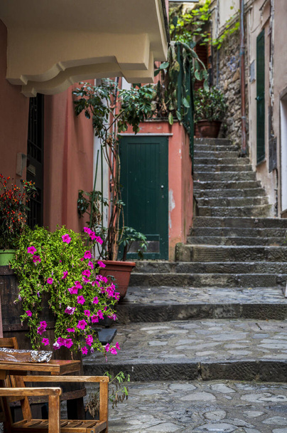 Belle architecture de Monterosso ancien village. Cinque Terre.       - Photo, image