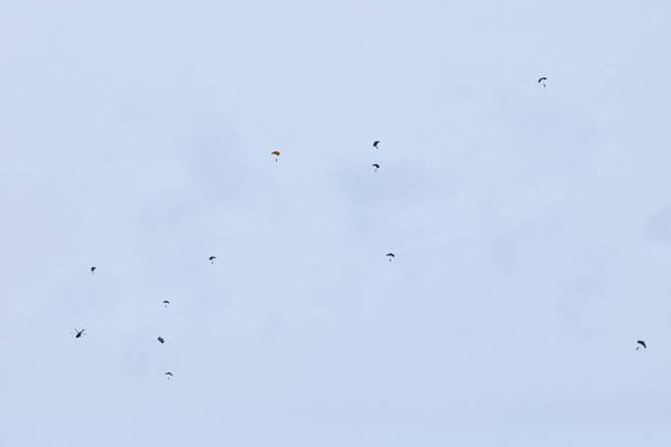 Spadochroniarze sił powietrznych trzymający flagę Rosji i flagi jednostek wojskowych, ćwiczenia wojskowe dla uczczenia Dnia Sił Powietrznych lądowaniem formacyjnym, schodzenie dywizji powietrznej armii - Zdjęcie, obraz