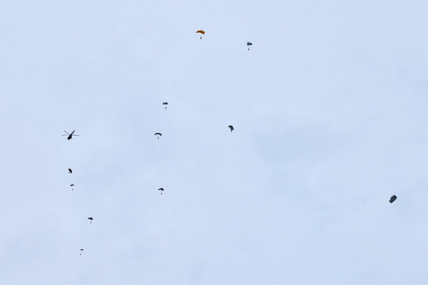 Airborne forces paratroopers soaring holding Flag of Russia and flags of military units, military exercise for celebration of Airborne Forces Day with formation landing, army airborne division descend - Photo, Image