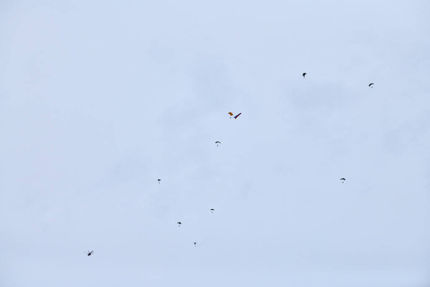 Fuerzas aerotransportadas paracaidistas ondeando la bandera de Rusia y banderas de unidades militares, ejercicio militar para la celebración del Día de las Fuerzas Aerotransportadas con el aterrizaje de formación, la división aerotransportada del ejército desciende - Foto, imagen