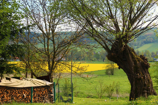 Polish spring landscape. - Photo, Image