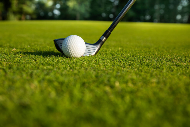 golfový míček na odpaliště na zelené trávě - Fotografie, Obrázek