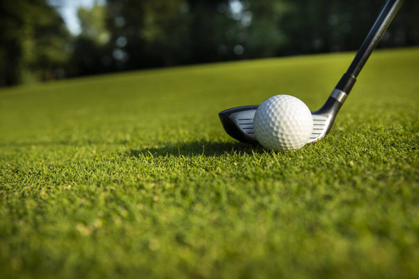 Balle de golf sur terrain de golf vert
 - Photo, image