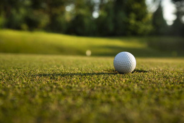 golfový míček a golfové hřiště - Fotografie, Obrázek