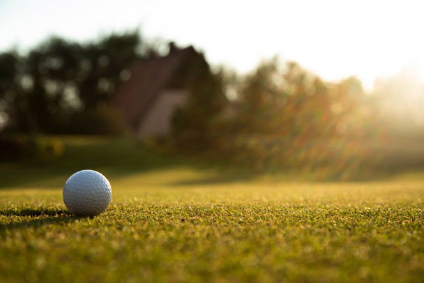 golfclub met bal - Foto, afbeelding