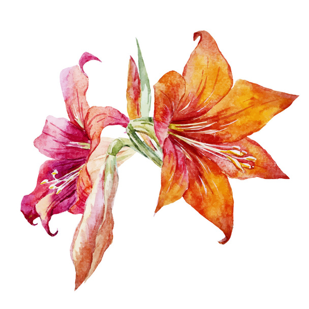 Watercolor flowers - Vektor, Bild