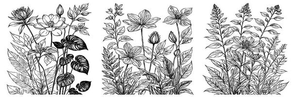 Black and white botanical pattern. For use in graphics, materials. Abstract plant shapes. Minimalist illustration for printing on wall decorations. - Photo, Image