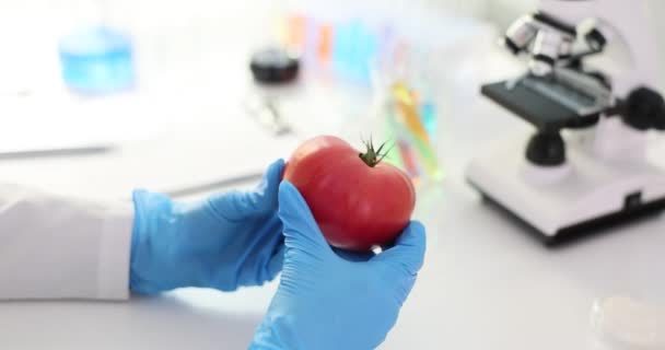 Microbioloog analyseert tomaten gekweekt in een laboratorium. Microbioloog die aan moleculaire steekproeven in het moderne laboratorium van de voedselwetenschap met technologische werkt - Video
