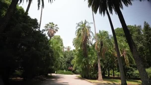 Статичний вид на красивий зелений сад перед музеєм, Музей Піньятеллі в Неаполі, південна Італія в сонячний день, кокосові пальми на тлі блакитного сонячного неба вид з землі - Кадри, відео