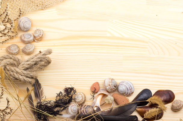 σαλιγκάρι σε μια ξύλινη επιφάνεια, χαλίκια, κοχύλια, χλόης, αγριολούλουδα, - Φωτογραφία, εικόνα