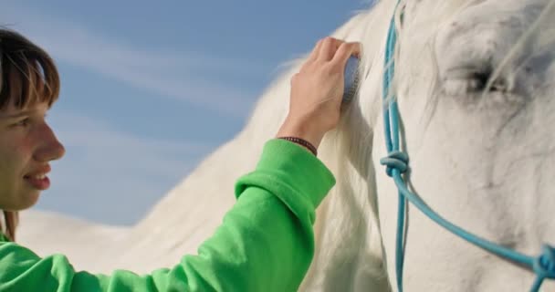 Cura del cavallo e legame: donna a piedi e cavallo da accarezzare sul campo di ranch, Fattoria cura degli animali, cavallo a piedi in uno splendido paesaggio naturale. Filmati 4k di alta qualità - Filmati, video