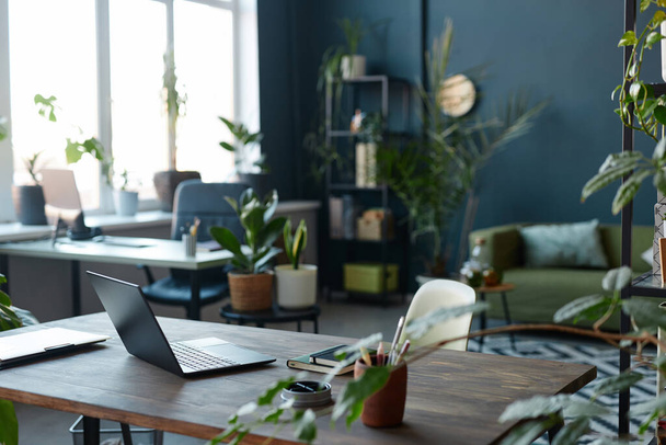 Background image of modern office workplace with laptop on desk and green plants in foreground copy space - Photo, Image