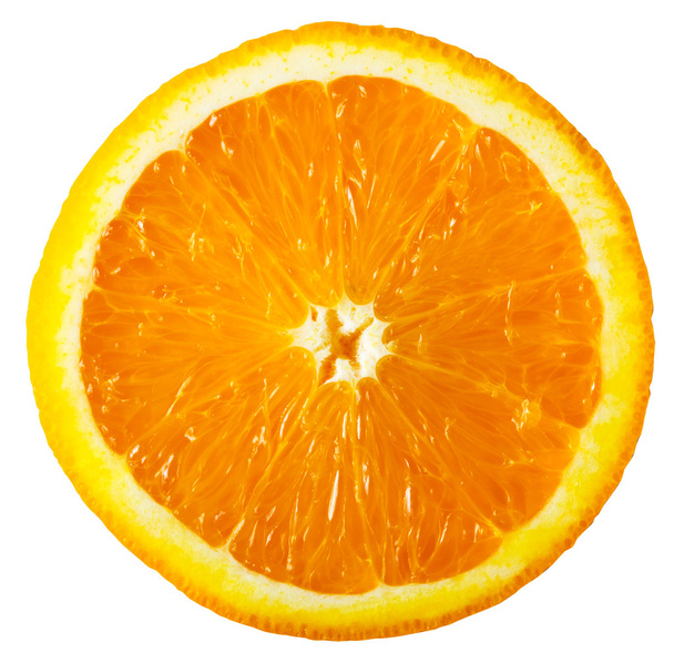 orange slice - Foto, imagen