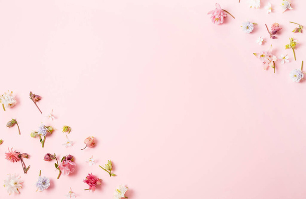 Marco de primavera de pequeñas flores y margaritas, arreglo floral sobre fondo rosa. - Foto, Imagen