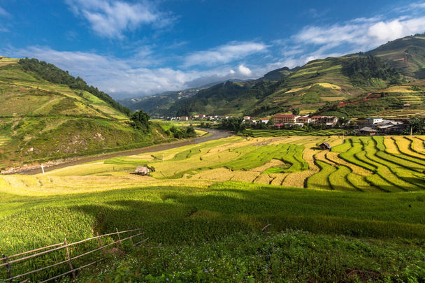 Reisfelder auf Terrassen von Vietnam - Foto, Bild