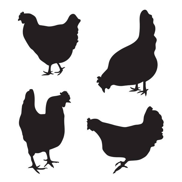 Silhouettes of chickens - Vector, Image