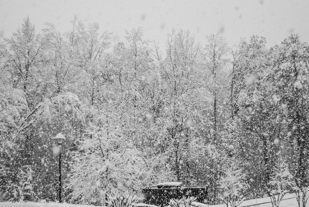 yoğun kar yağışı - Fotoğraf, Görsel