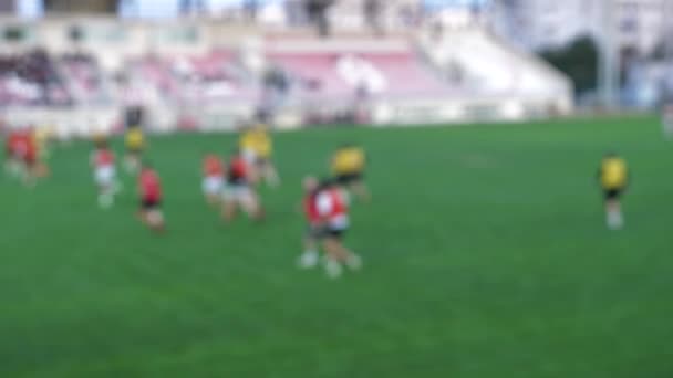 Rugby training session on stadium field, defocused view. - Footage, Video