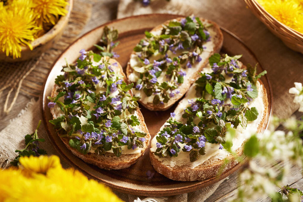 Flores frescas de hiedra molida y hojas recogidas en primavera en rebanadas de pan de masa fermentada en un plato - Foto, Imagen