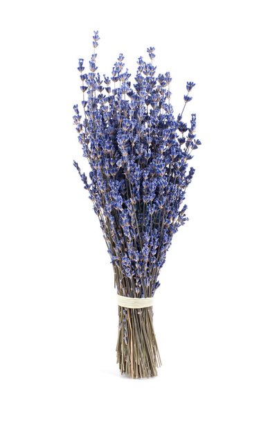 Bunch of dry lavender isolated on white - Foto, Imagem