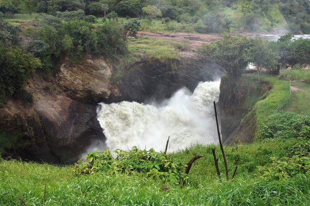 Над водопадом Мурчисон в Уганде
 - Фото, изображение