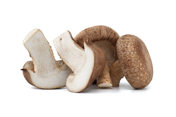 Свежие грибы шиитаке, известные своей полезностью для здоровья и фармакологическими свойствами, выделены на белом фоне. - Фото, изображение