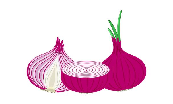 Onion Vector Design And Illustration.  - Vector, Image