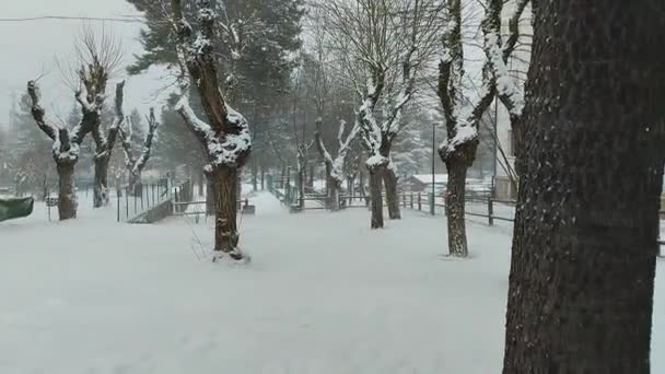 Важкі снігопади потрапили в місто Рокарпато і весь регіональний парк Абруццо - Кадри, відео