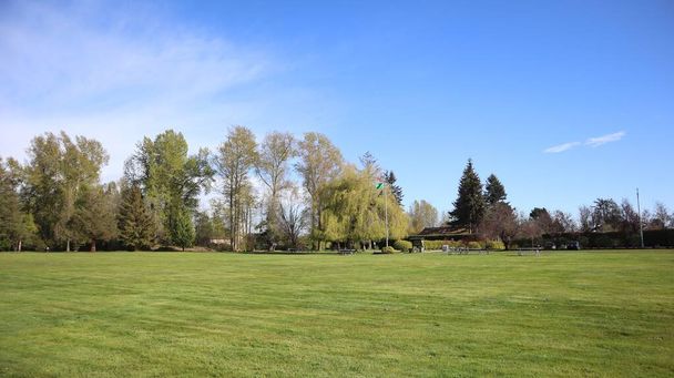 Парк Миру, розташований за 40 км на південь від Ванкувера на Дугласському прикордонному переході, служить мальовничим місцем, де збираються сім'ї з Канади та США, щоб об'єднатися.  - Фото, зображення