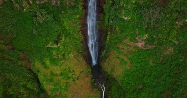 Вид с воздуха на водопад острова Мадейра. Каскады водопада над скалой, расположенной на северной стороне острова, Португалия. - Кадры, видео