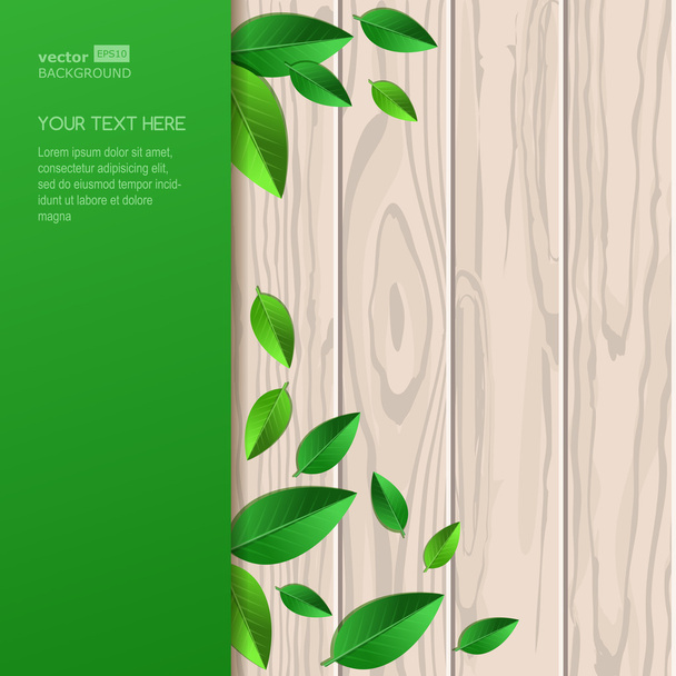 Natural wooden texture, fresh leaves and green background with p - Vektor, kép