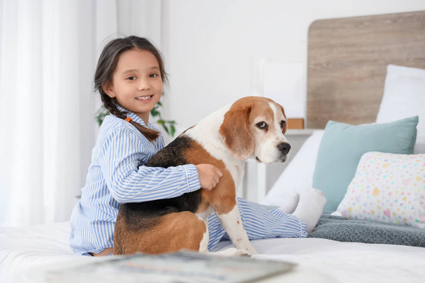 Cute little Asian girl hugging Beagle dog in bedroom - Photo, Image