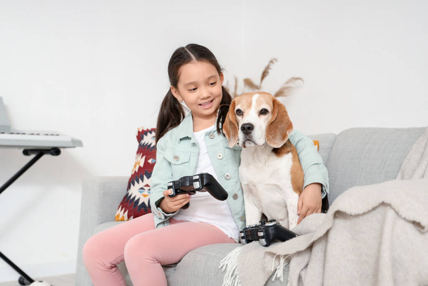Beagle köpeğiyle birlikte evdeki kanepede video oyunu oynayan tatlı Asyalı kız. - Fotoğraf, Görsel