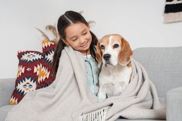 Симпатична маленька азіатська дівчинка з собакою Бігль і плед сидить на дивані вдома - Фото, зображення